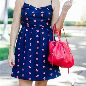 J. Crew Navy Blue Watermelon Dress Size 12